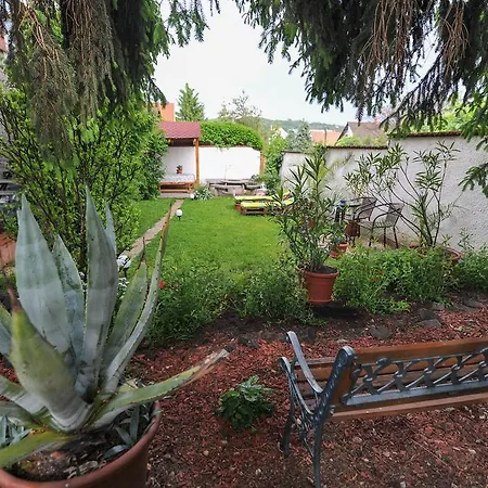 Casa de hóspedes Oázis Vendégház